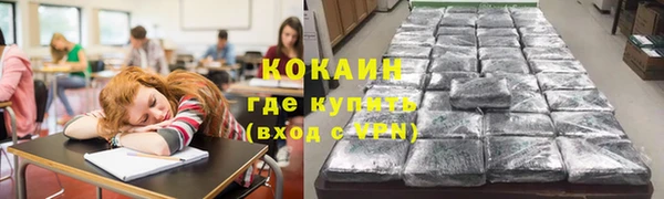 ешки Арсеньев