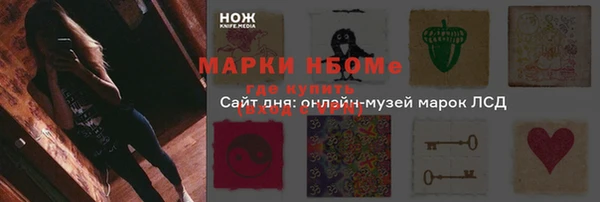 ешки Арсеньев