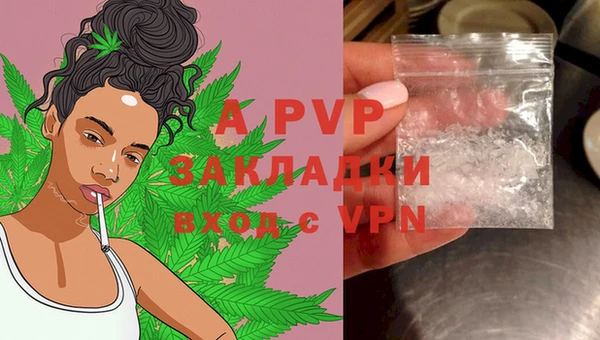 ешки Арсеньев