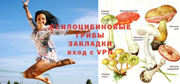 ешки Арсеньев
