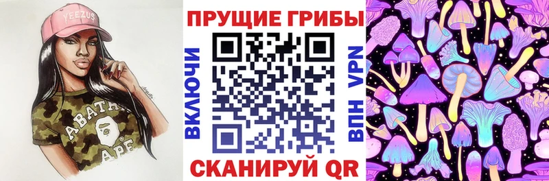 магазин    Баймак  Псилоцибиновые грибы ЛСД 